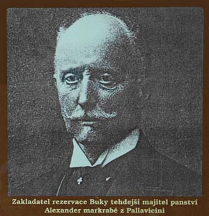 markrabě Alexander Pallavicini